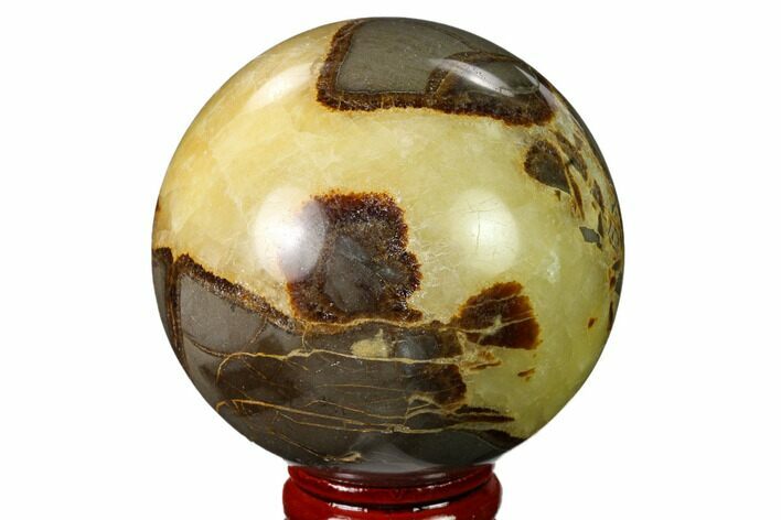 Polished Septarian Sphere - Utah #167609